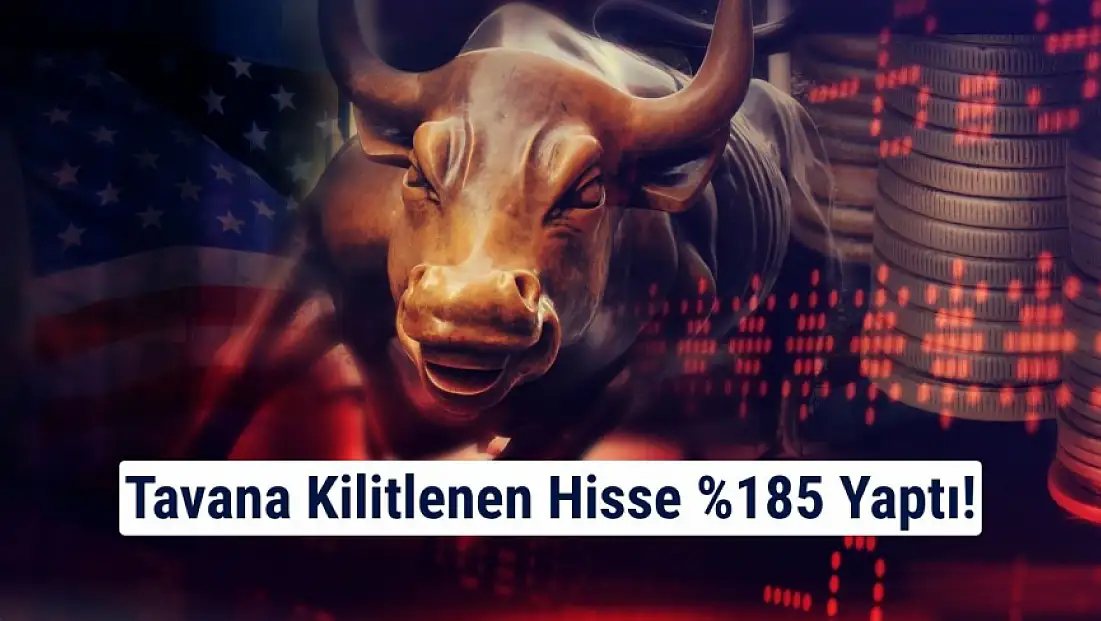 Bu hisse tavana kilitlendi! 11 günde yüzde 185 yükseldi!