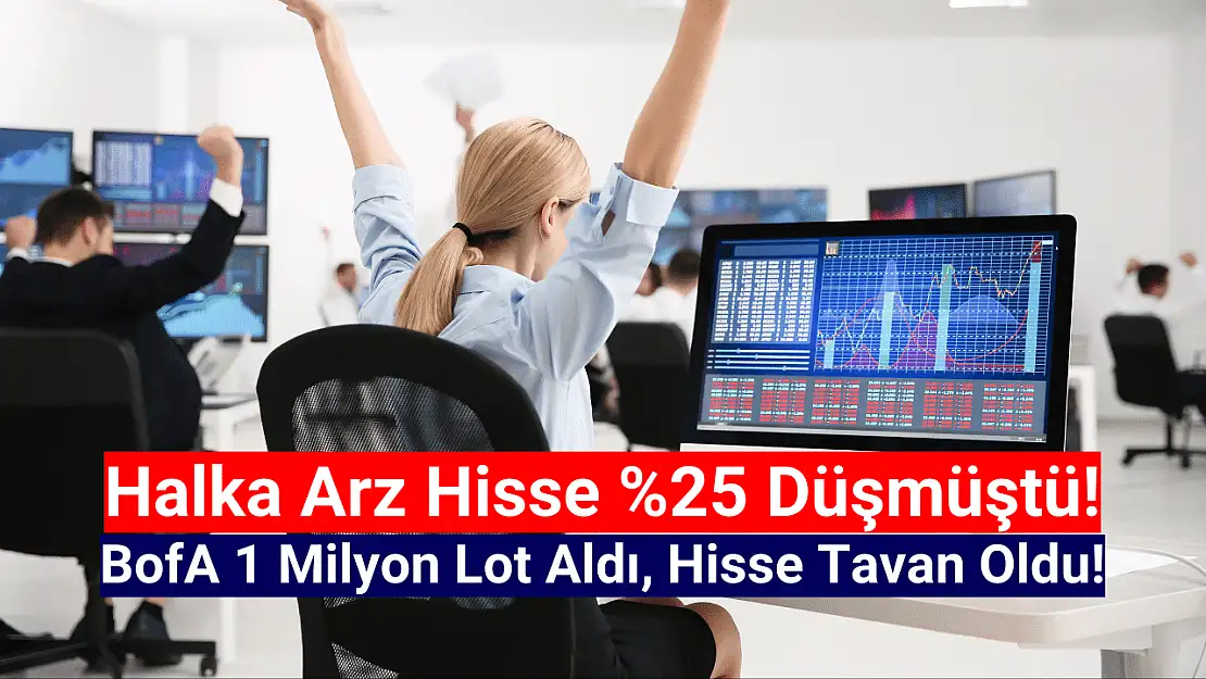 BofA 1 milyon lot aldı, halka arz hisse tavan oldu!