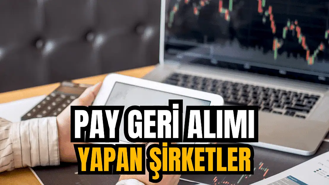 Pay geri alımı yapan şirketler!