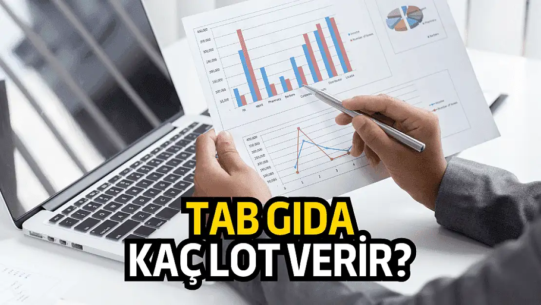 TAB Gıda katılım endeksine uygun mu? TABGD kaç lot verir?