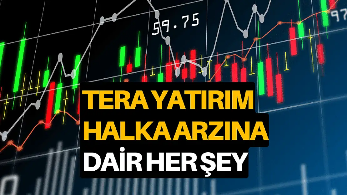 Tera Yatırım halka arzına dair bilinmesi gereken detaylar