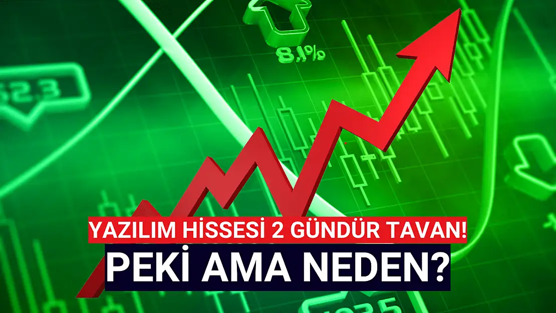 Yazılım şirketinin hissesi 2 gündür TAVAN! Peki, neden?