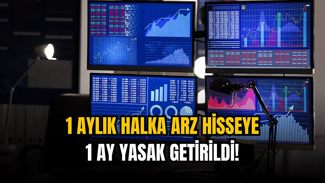 Yeni halka arz hisseye 1 ay yasak!