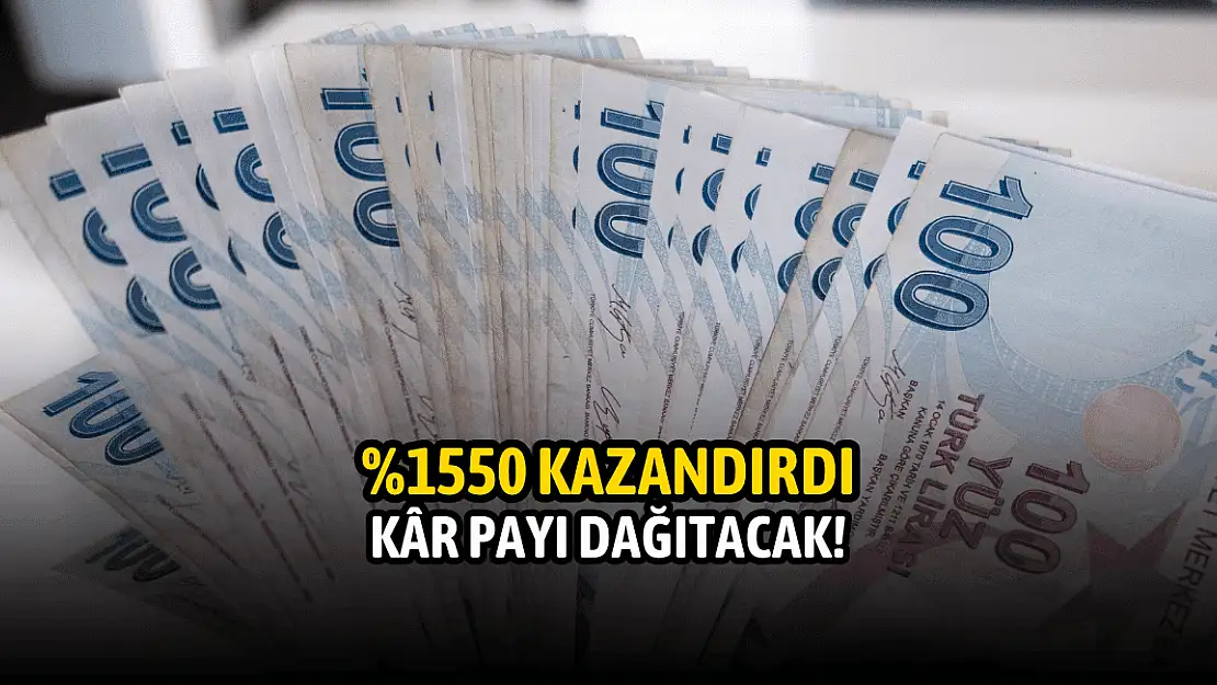 Yüzde 1550 kazandıran şirket kârını dağıtma kararı aldı!