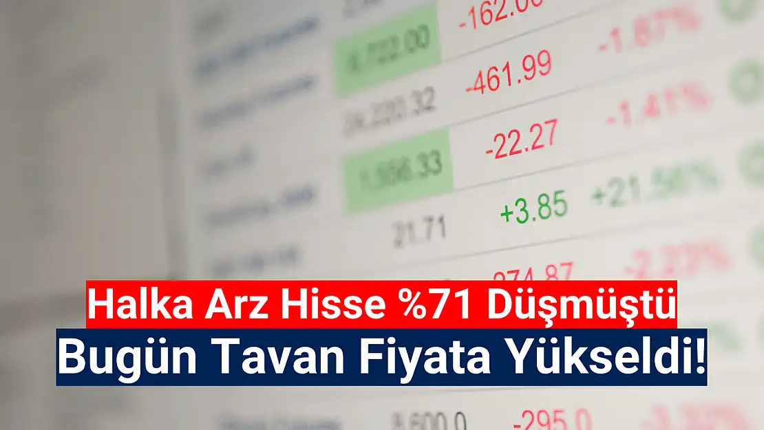 Yüzde 71 düşen hisseyi tavan fiyata götürdüler!