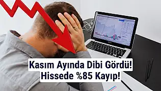 Bu hisse, kasım ayında yüzde 85 değer kaybetti!