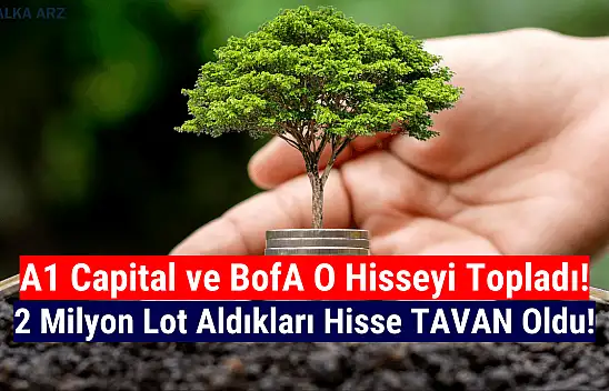 A1 Capital ve BofA 2 milyon lot aldı! Hisse tavan oldu!
