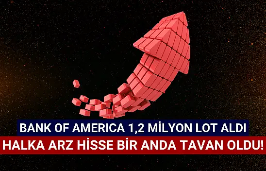 BofA 1,2 milyondan fazla lot aldı! Hisse bir anda tavan oldu!