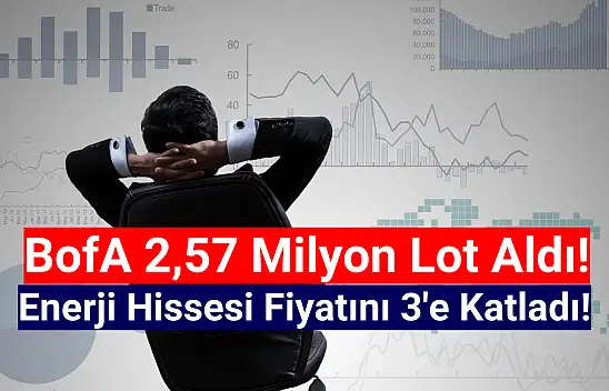BofA 2,57 milyon lot aldığı enerji hissesini tavana götürdü!