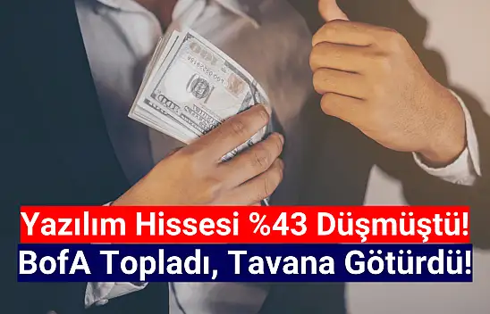 BofA yüzde 43 düşen yazılım hissesini tavana götürdü!