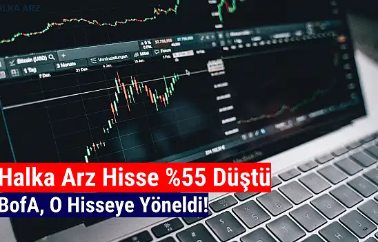 BofA, yüzde 55 düşen halka arz hisseye yöneldi!