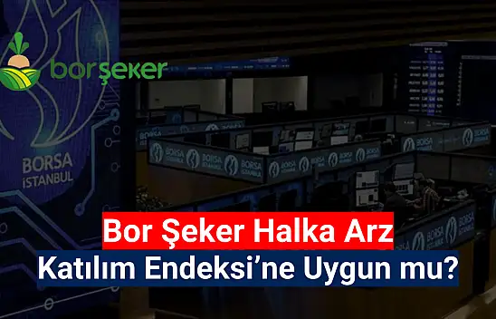 Bor Şeker katılım endeksine uygun mu? HALKA ARZ
