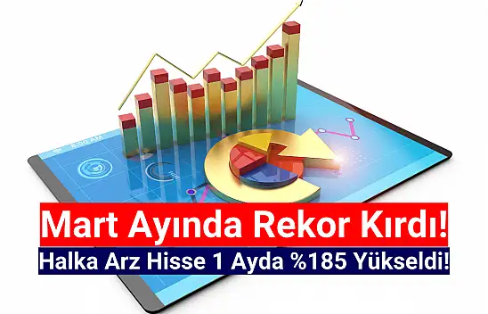 Bu hisse 1 ayda yüzde 185 yükseldi!