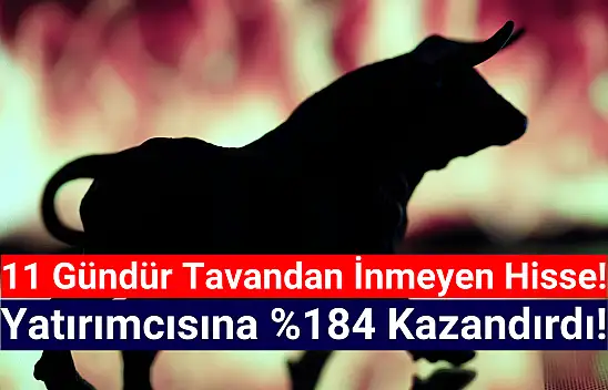 Bu hisse 11 gündür tavandan inmiyor!