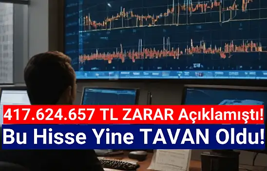 Bu hisse 38,50 TL'den 379,50 TL'ye yükseldi!