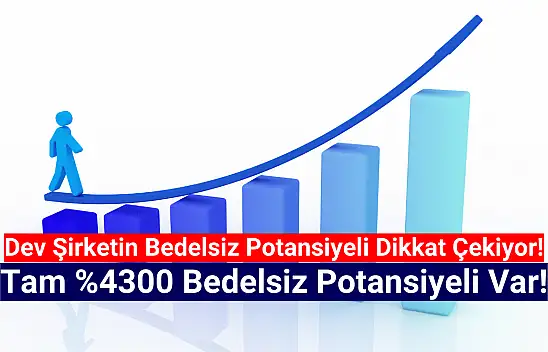 Bu hissede yüzde 4300 bedelsiz potansiyeli var!