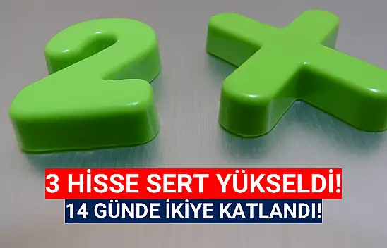 Bu hisselerin değeri 14 günde 2'ye katlandı!