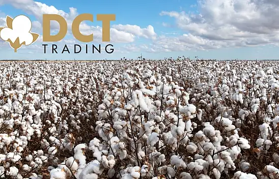 DCT Trading Dış Ticaret'ten (DCTTR) dev ihracat!