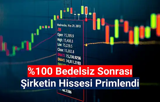 Dev şirketin yeni sermayesi 264.000.000 TL oldu!