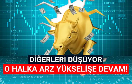 Diğerleri düşerken o halka arz yola devam ediyor!