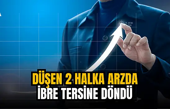 Düşen 2 halka arzda ibre tersine döndü!