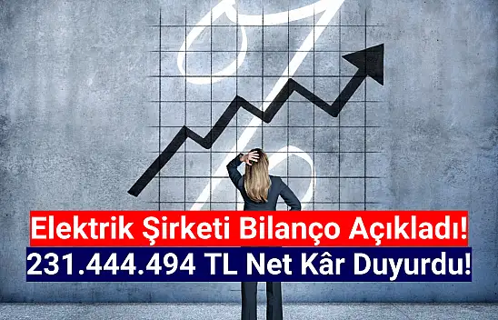 Elektrik şirketinin net kârı 231.444.494 TL oldu!