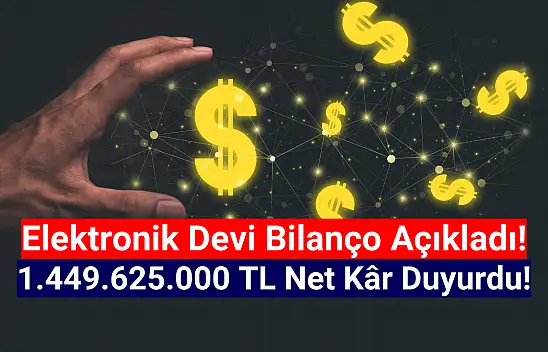 Elektronik devi 1.449.625.000 TL net kâr açıkladı!