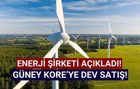 Enerji şirketinden Güney Kore'ye milyon avroluk satış!