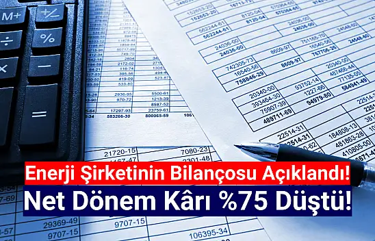Enerji şirketinin net kârı yüzde 75 düştü!