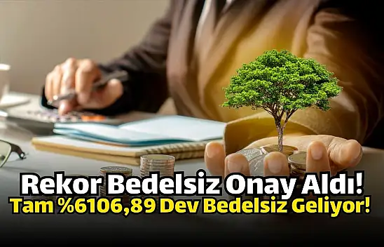 Enerji şirketinin yüzde 6106,89'luk bedelsizi onaylandı!