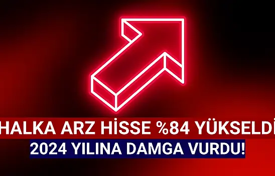 Halka arz hisse 2024'e damga vurdu!
