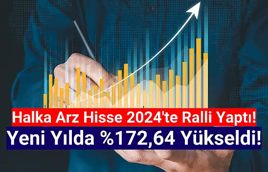 Halka arz hisse, yeni yılda yüzde 172,64 yükseldi!