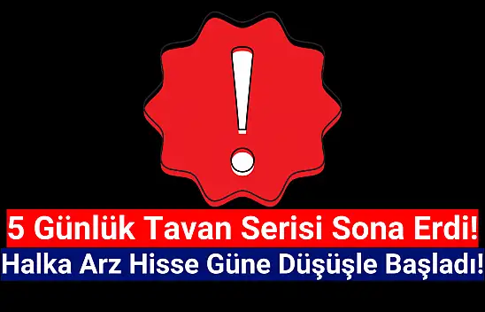 Halka arz hissede tavan serisi bozuldu!