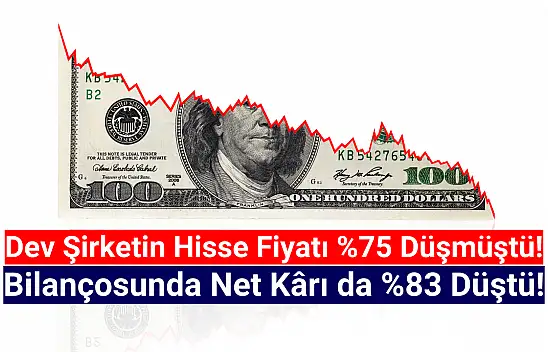 Hissesi yüzde 75, net kârı yüzde 83 düştü!