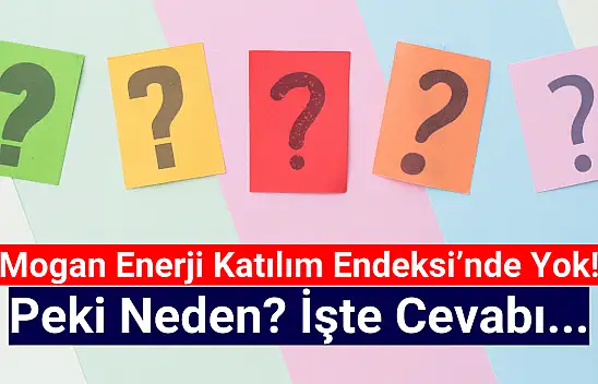 Mogan Enerji katılım endeksine neden uygun değil?