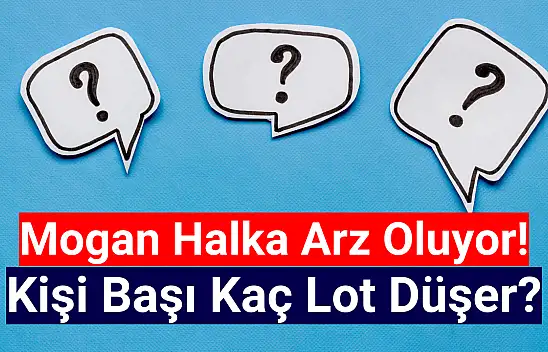 MOGAN halka arz kişi başı kaç lot verir?