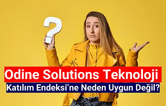Odine Solutions Teknoloji katılım endeksine neden uygun değil?