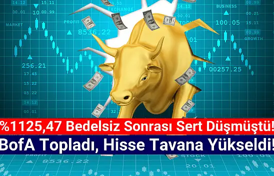 Rekor bedelsiz sonrası sert düşen hisse bugün tavan!