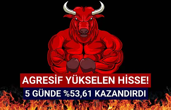 Sadece 5 günde yüzde 53,61 ile en çok yükselen hisse oldu!