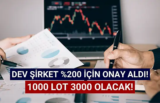 SPK onay verdi! 1000 lot 3000 olacak!