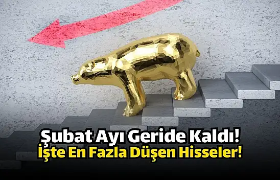 Şubat ayında en çok düşen hisseler!