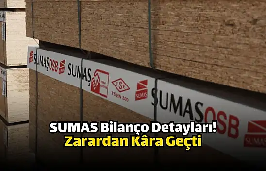 Sumaş Suni Tahta (SUMAS) 2024 yılının 4. çeyrek bilançosunu açıkladı!