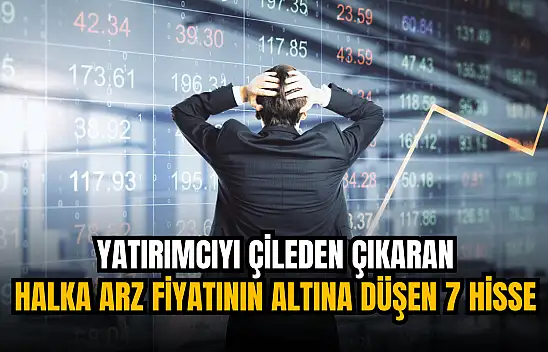 Tam 7 hisse, halka arz fiyatının altına düştü!