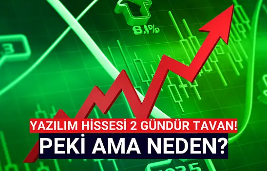 Yazılım şirketinin hissesi 2 gündür TAVAN! Peki, neden?
