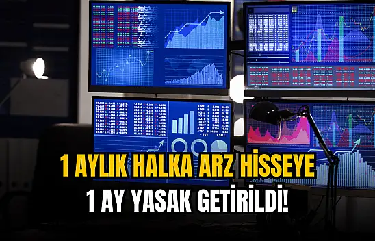 Yeni halka arz hisseye 1 ay yasak!