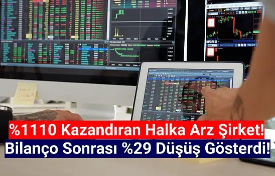 Yüzde 1110 kazandıran halka arz hisse kısa zamanda yüzde 29 düştü!