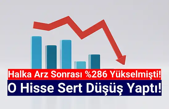 Yüzde 286 yükselen halka arz hisse sert düştü!