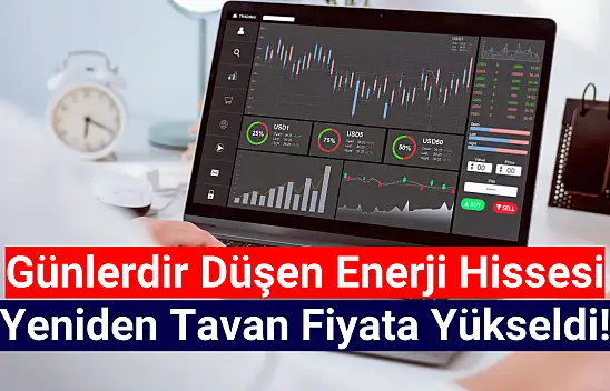 Yüzde 35 düşen enerji hissesi yeniden tavan oldu!