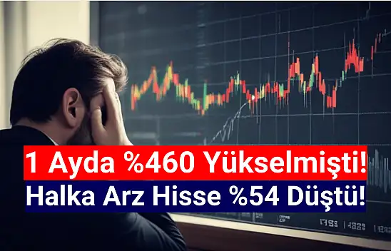 Yüzde 460 kazandıran halka arz hisse yüzde 54 düştü!