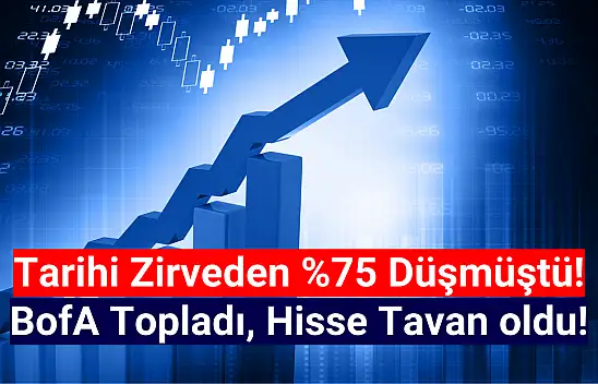 Yüzde 75 düşen hisseyi BofA topladı! Hisse TAVAN oldu!
